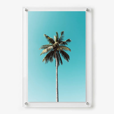 The Lone Palm Acrylic Wall Art Print