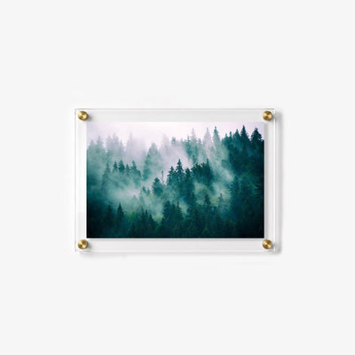 Evergreen Haze Acrylic Wall Art Print