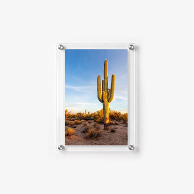 Standing Tall Acrylic Wall Art Print