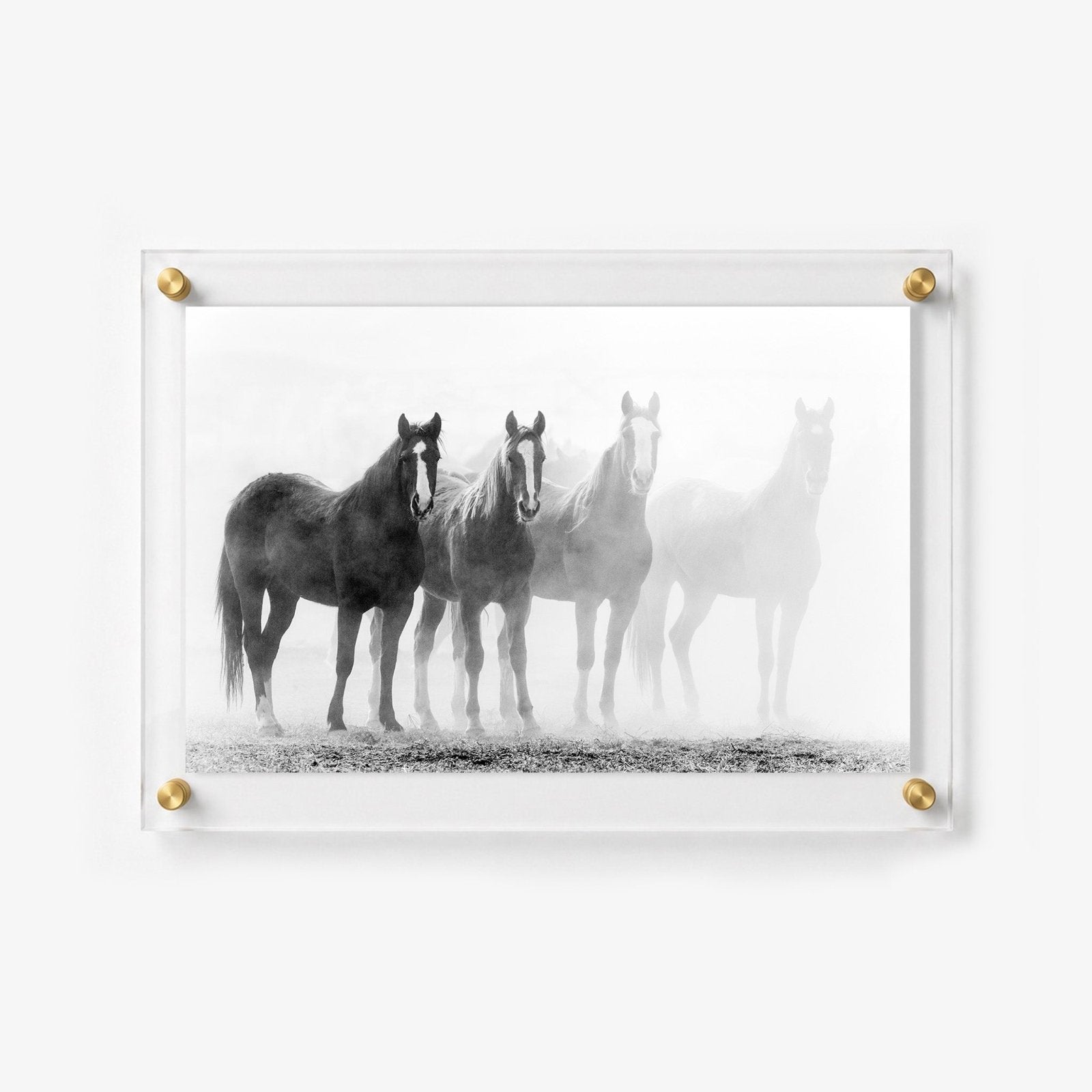 Through the Mist Acrylic Wall Art Print