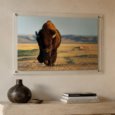 Wild Plains Acrylic Wall Art Print